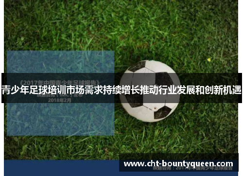 青少年足球培训市场需求持续增长推动行业发展和创新机遇 青少年足球培训市场需求持续增长推动行业发展和创新机遇