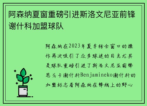 阿森纳夏窗重磅引进斯洛文尼亚前锋谢什科加盟球队